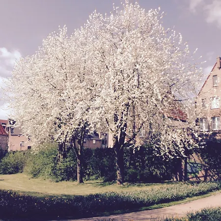 Πανσιόν Am Meerturm 3*