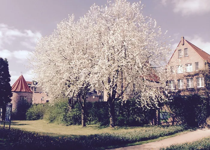 Affittacamere Am Meerturm 3*